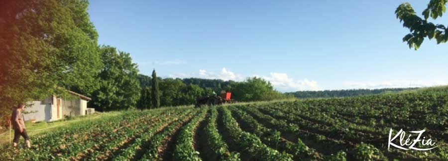 A la rencontre de la Ferme de FABAS