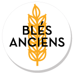 Blés Anciens