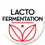 Lacto Fermentation